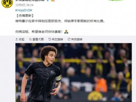 因在家摔下楼梯 多特大将维特塞尔休战上半程剩余赛事